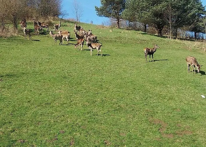 Nad Διαμέρισμα *