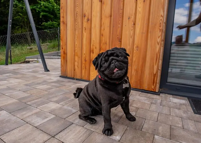 Διαμέρισμα Nad